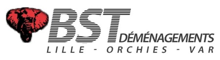 Déménageur Bst Déménagements Déménageur Bst Déménagements