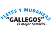 Empresa de mudanzas F. Gallegos Empresa de mudanzas F. Gallegos
