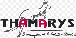 Déménageur Thamarys Déménagement Déménageur Thamarys Déménagement