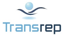 Déménageur TransRep Déménageur TransRep